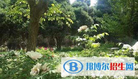 甘肅金城理工中等專業(yè)學(xué)校怎么樣、好不好