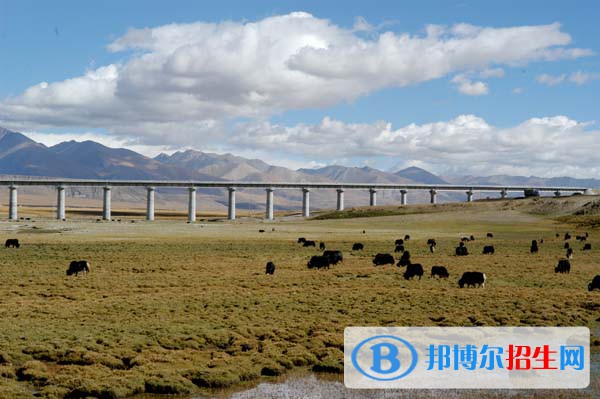 成都2020年女生上鐵路學校學什么好