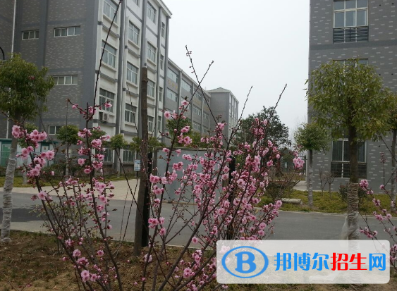 許昌工商管理學(xué)校2021年報(bào)名條件、招生要求、招生對象