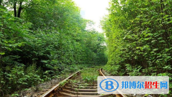 武漢2020年鐵路學(xué)校讀什么專(zhuān)業(yè)好