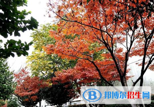 建德千島交通職業(yè)學校怎么樣、好不好