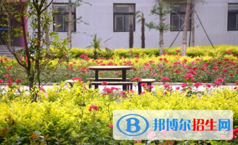 河南師大附中雙語國際學校2020年報名條件、招生要求、招生對象