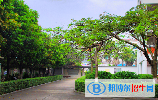 湛江湛港職業(yè)技術學校2020年報名條件、招生要求、招生對象