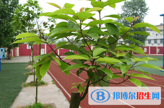 天問國際高中校長2020年報名條件、招生要求、招生對象