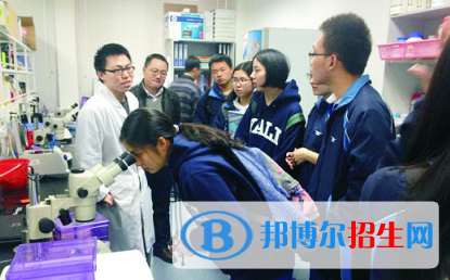 雅禮中學國際部網(wǎng)站網(wǎng)址