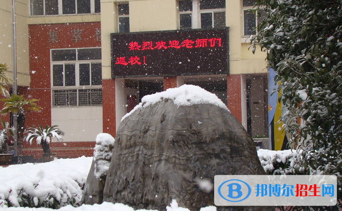 合肥世界外國語學(xué)校2020年學(xué)費(fèi)、收費(fèi)多少