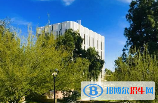 上海金蘋果雙語學校國際部2023年報名條件、招生要求、招生對象