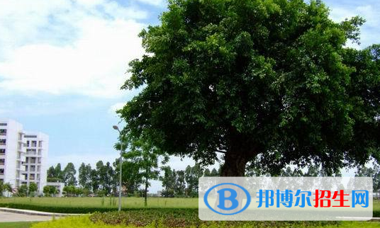 廣東女子職業(yè)技術(shù)學(xué)院怎么樣、好不好