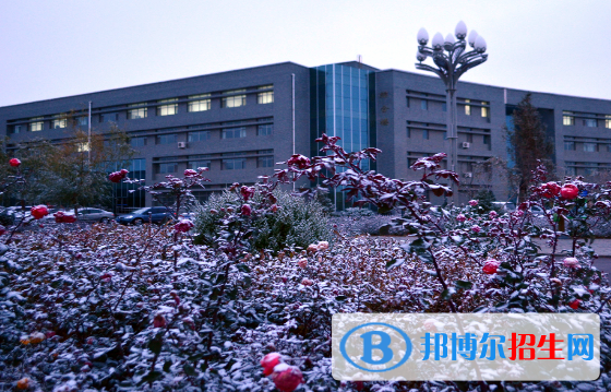 甘肅有色冶金職業(yè)技術(shù)學(xué)院2020年報(bào)名條件、招生要求、招生對象