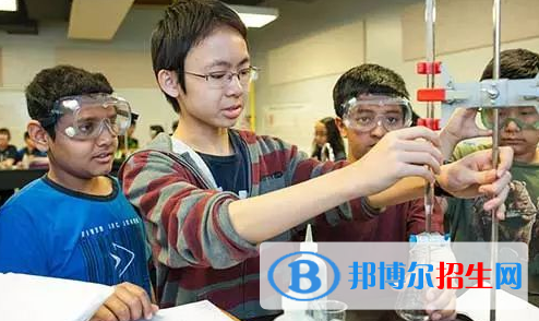 深圳貝賽思國際學校2023年招生計劃