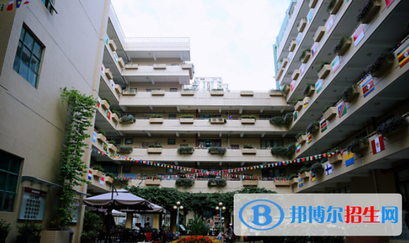 深圳國際交流學院網站網址
