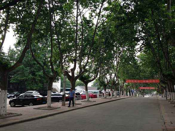 南京中博軟件學(xué)院怎么樣、好不好