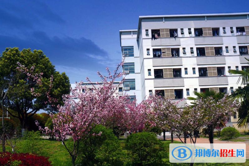 昆山登云科技職業(yè)學(xué)院?jiǎn)握?020年單獨(dú)招生有哪些專業(yè)