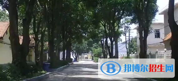 廣西衛(wèi)生職業(yè)技術(shù)學(xué)院2020年報名條件、招生要求、招生對象