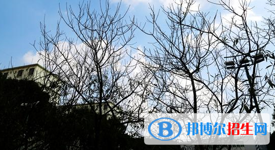 廣西輕工技師學(xué)院怎么樣、好不好