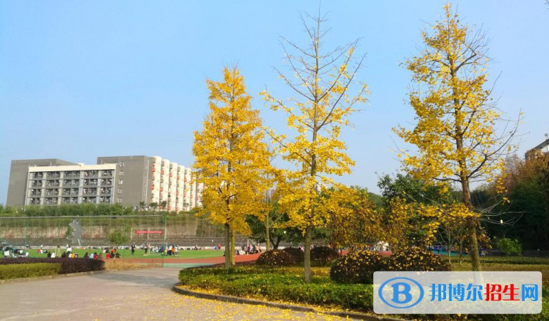 重慶醫(yī)藥高等?？茖W(xué)校怎么樣、好不好
