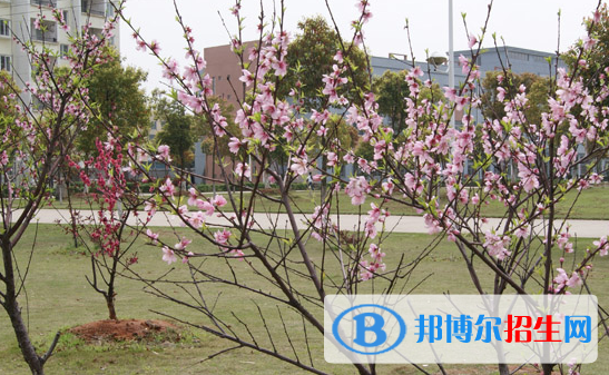 江西科技職業(yè)學(xué)院2020年報(bào)名條件、招生要求、招生對(duì)象