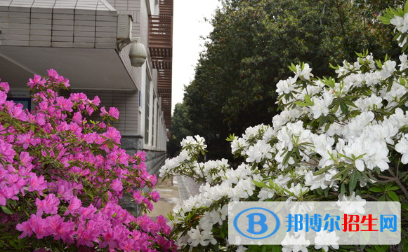 長沙麓山國際實驗學(xué)校2020年招生辦聯(lián)系電話