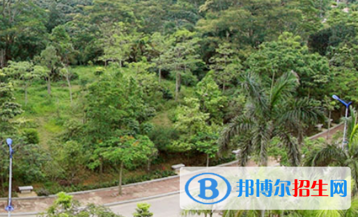 湛江理工職業(yè)學(xué)校2020年報(bào)名條件、招生要求、招生對(duì)象