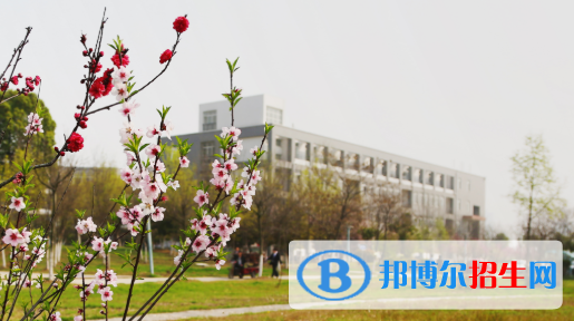 安徽新華學校網站網址