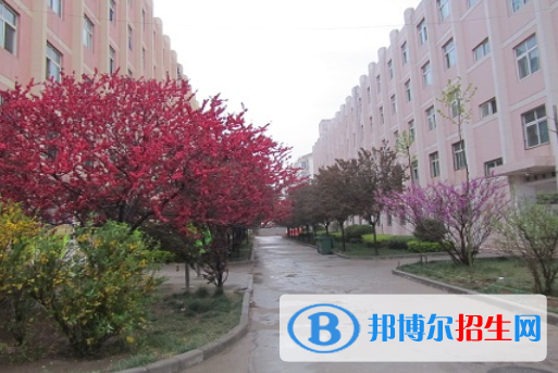 銅川陽(yáng)光中學(xué)2020年招生招生代碼