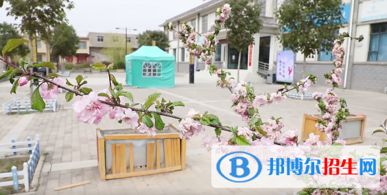 蘭州慈愛實驗藝術(shù)職業(yè)學校2020年招生錄取分數(shù)線