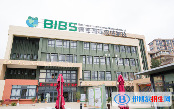 昆明呈貢青苗國際雙語學校初中部2020年報名條件、招生要求、招生對象