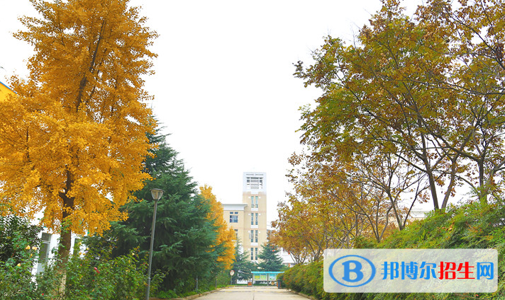 鄭州鄭中國際學校初中部2020年招生辦聯(lián)系電話