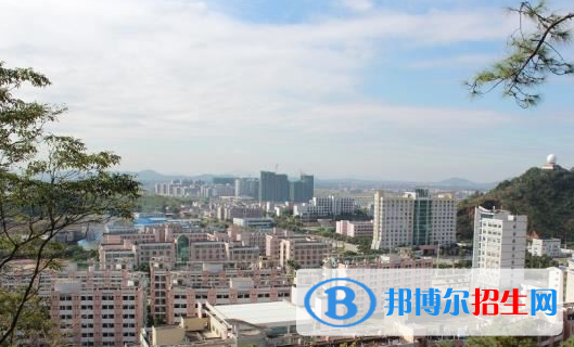 陽江職業(yè)技術學院2020年招生簡章