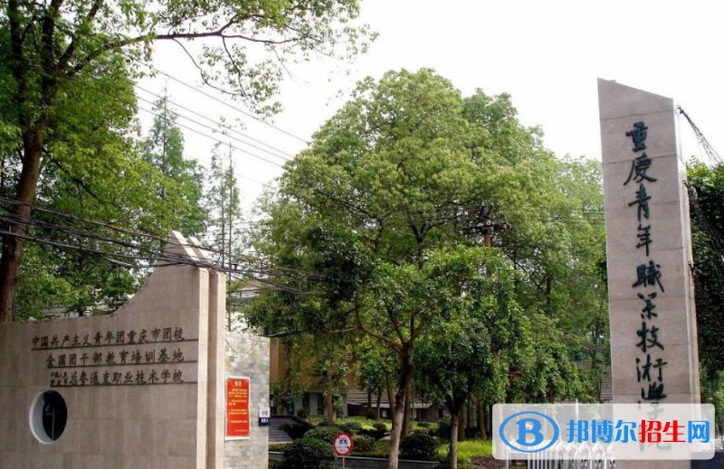 重慶青年職業(yè)技術(shù)學(xué)院2020年招生代碼