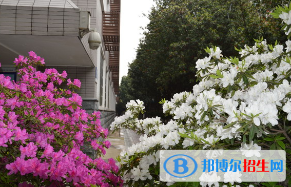 長(zhǎng)沙麓山國(guó)際實(shí)驗(yàn)學(xué)校初中部2020年招生辦聯(lián)系電話
