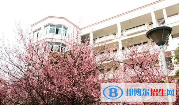 張家港外國語學(xué)校初中部2020年招生簡章