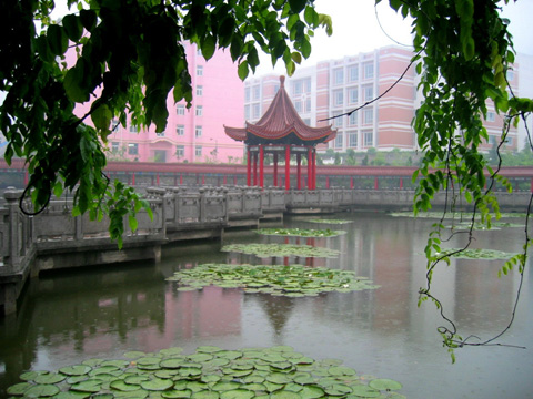 金肯職業(yè)技術(shù)學(xué)院怎么樣、好不好