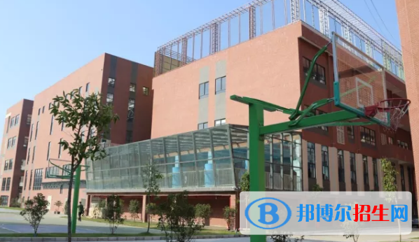 佛山協(xié)同國際學校2020年招生簡章