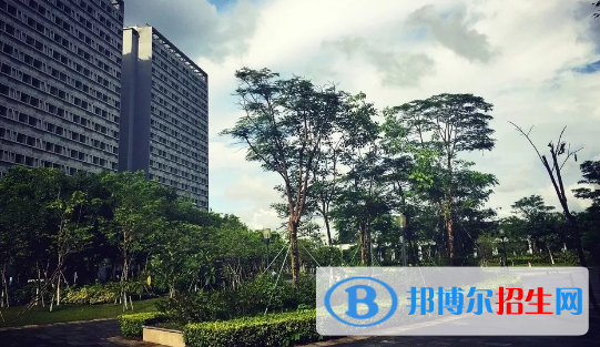 深圳信息職業(yè)技術(shù)學(xué)院2020年報(bào)名條件、招生要求、招生對象