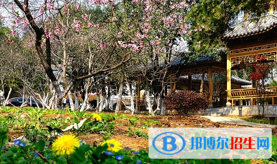 安徽林業(yè)職業(yè)技術(shù)學(xué)院2020年報名條件、招生要求、招生對象