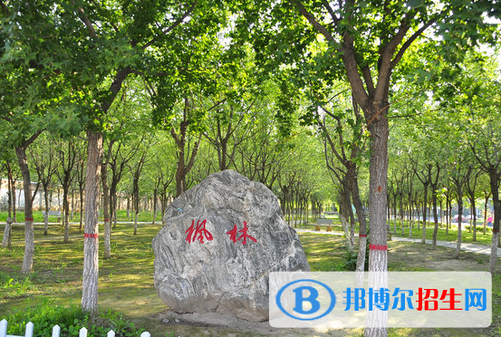 渭南橋山中學(xué)怎么樣、好不好