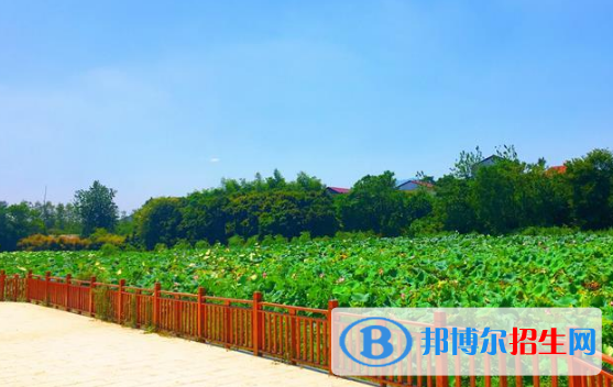 江西楓林涉外經(jīng)貿(mào)職業(yè)學(xué)院2020年報(bào)名條件、招生要求、招生對(duì)象