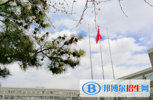 東北育才學校國際小學部2020年學費、收費多少
