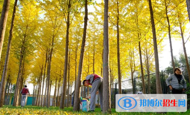 北京私立樹人瑞貝學校小學部怎么樣、好不好