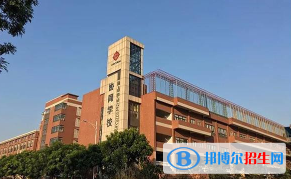 佛山協(xié)同國際學(xué)校小學(xué)部2020年招生計(jì)劃