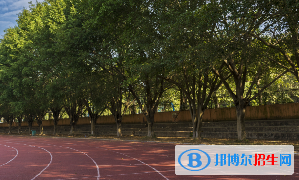 廣州松田職業(yè)學(xué)院2020年學(xué)費(fèi)、收費(fèi)多少