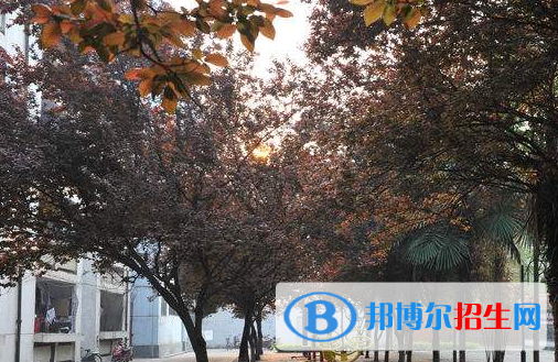 棗陽第二職業(yè)高級中學4