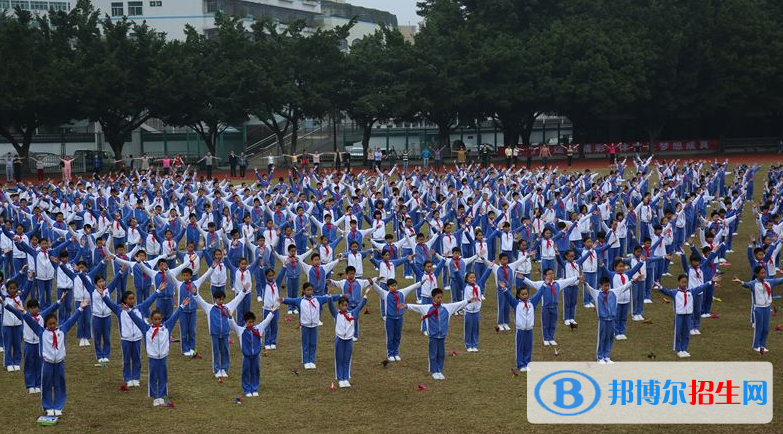 深圳石巖公學學校國際部小學地址在哪里
