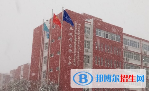 洛陽華洋國際學(xué)校小學(xué)部2020年學(xué)費、收費多少