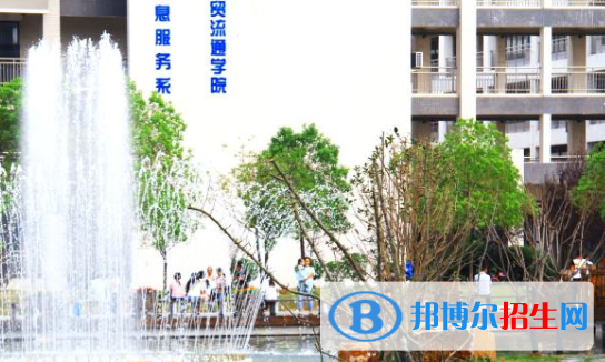安徽國際商務職業(yè)學院2020年報名條件、招生要求、招生對象