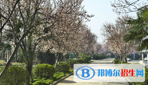 安徽2020年哪個鐵路學(xué)校最好