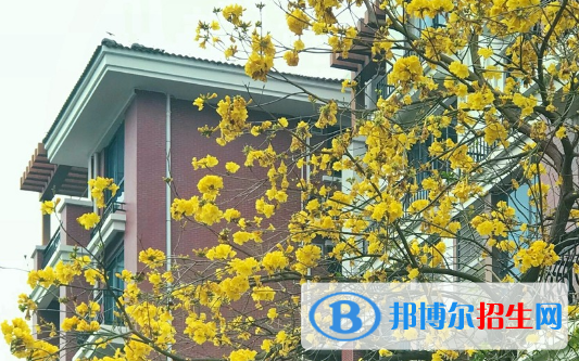 廣東碧桂園職業(yè)學(xué)院2020年報(bào)名條件、招生要求、招生對象