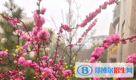 神木四中2020年學費、收費多少