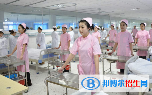 廣東2020年女生上衛(wèi)校學(xué)什么專業(yè)好